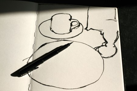 First I do a contour drawing with a brush pen, drawing the outlines of the major shapes.