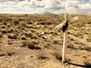 Would this be my fate?